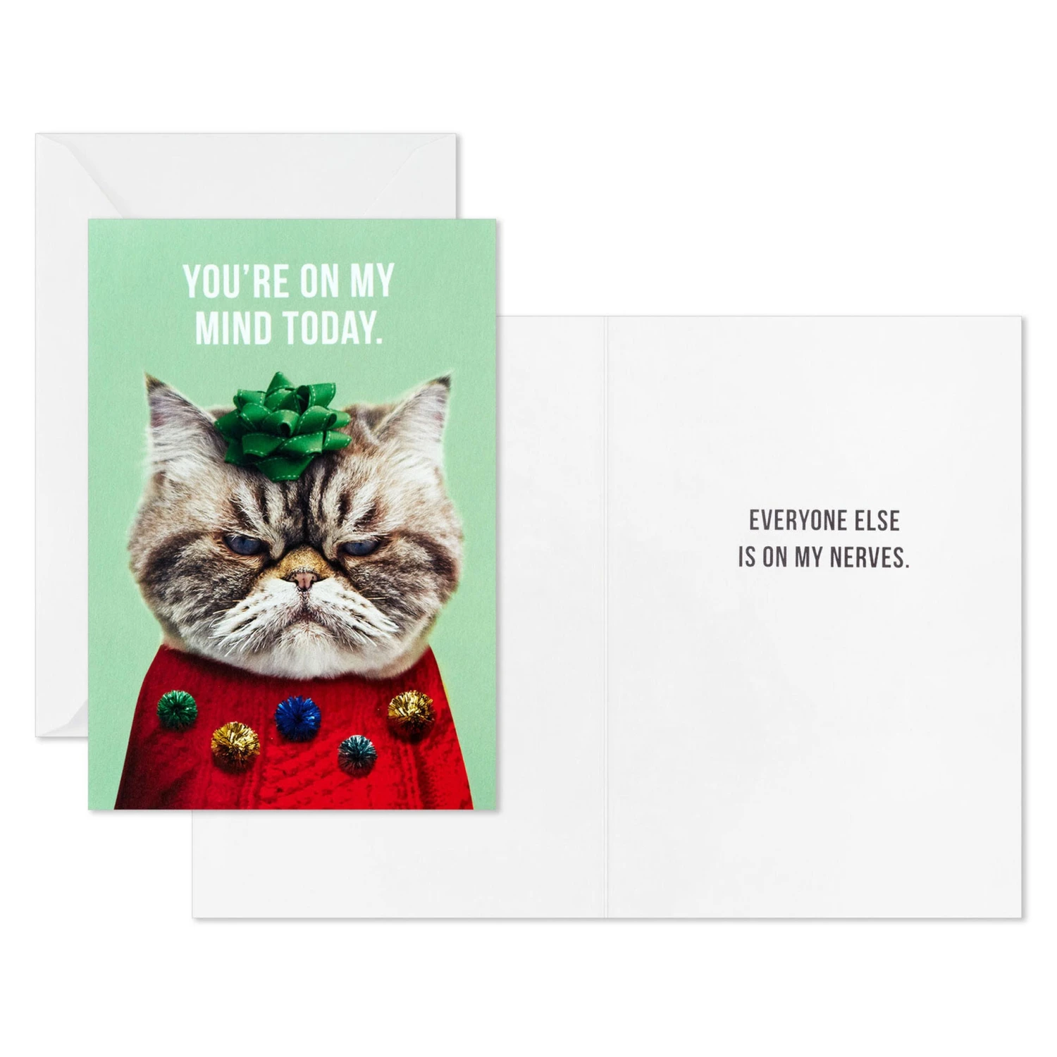 Hallmark Kevin The Cat In Holiday Sweater Boxed Christmas Cards, Pack Of 16 2 Hallmark Kevin The Cat In Holiday Sweater Boxed Christmas Cards, Pack Of 16 - Image 2