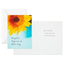 Hallmark Nature Images Assorted Thinking Of You Cards, Pack Of 12 -Hallmark Nature Images Thinking of You Cards Assortment 1EDX3861 02